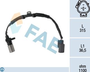 FAE 79299