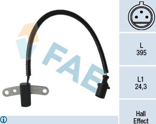 FAE 79305