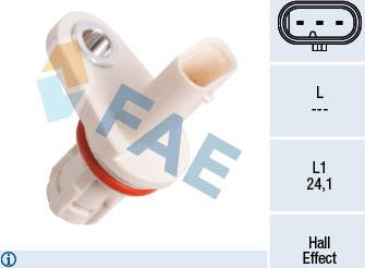 FAE 79396