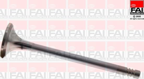 FAI EV95207