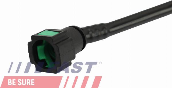 Fast FT00896
