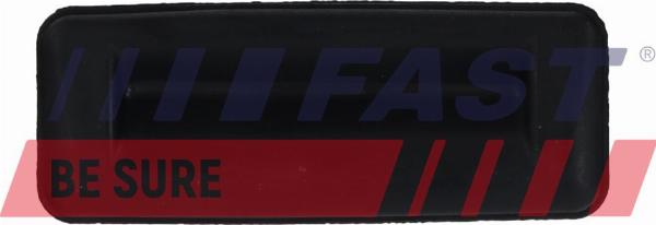Fast FT02209