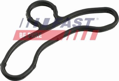 Fast FT41604