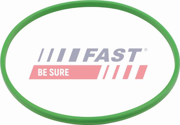 Fast FT48503 - DEGVIELAS SŪKŅA BLĪVE