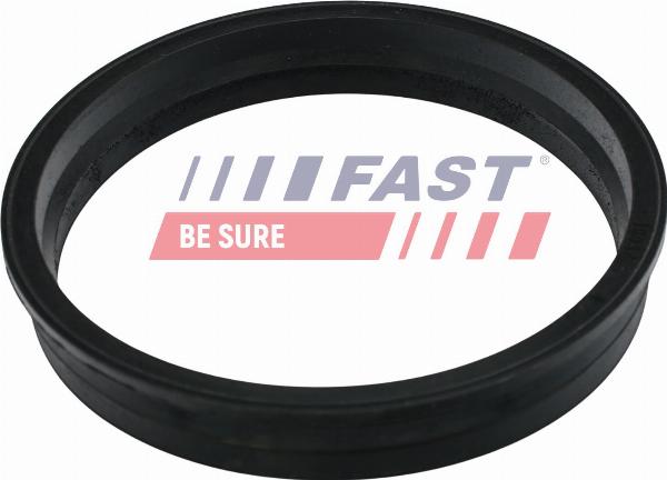 Fast FT48505 - Blīve, Degvielas daudzuma