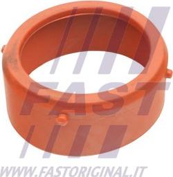 Fast FT48813 - TURBOKOMPRESORA BLĪVE FT48813