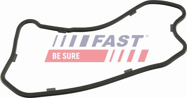 Fast FT49208 - KARTERA BLĪVE FT49208