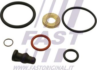 Fast FT49655 - SPRAUSLAS REM.KOMPL