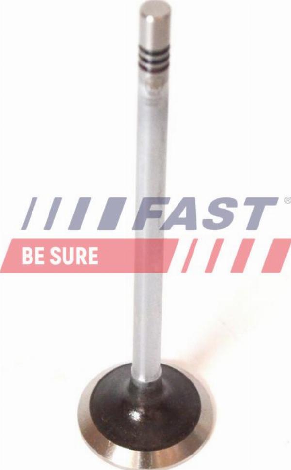 Fast FT50068 - IZPLŪDES VĀRSTS FT50068