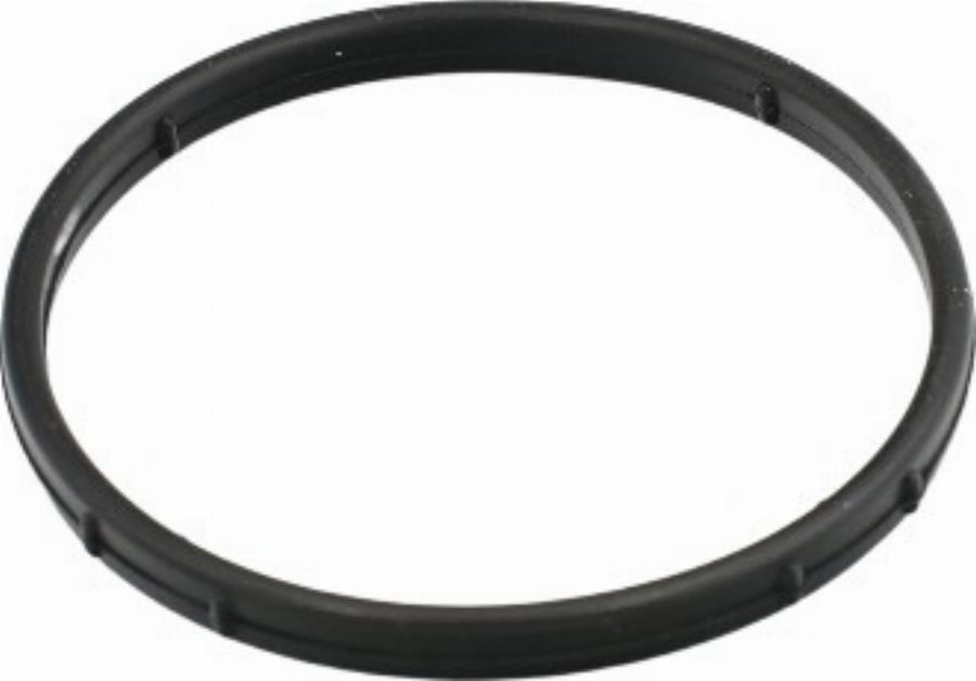Fast FT50602 - EGR BLĪVE FT50602