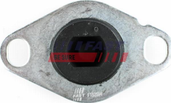 Fast FT52594 - SPILVENS FT52594