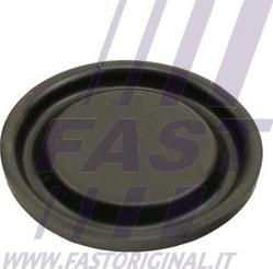 Fast FT60102 - Auto Part