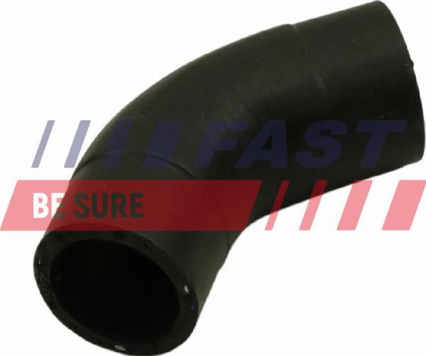 Fast FT61097 - RADIATORA CAURULE FT61097