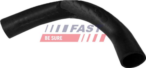 Fast FT61603 - 144160 RADIATORA CAURULE
