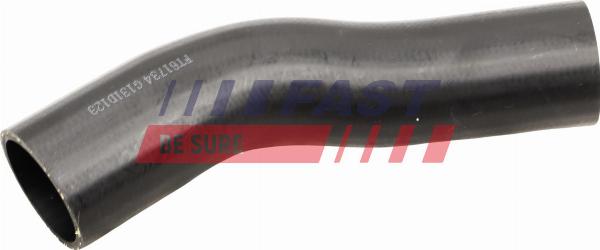 Fast FT61734 - PŪTES GAISA CAURULE