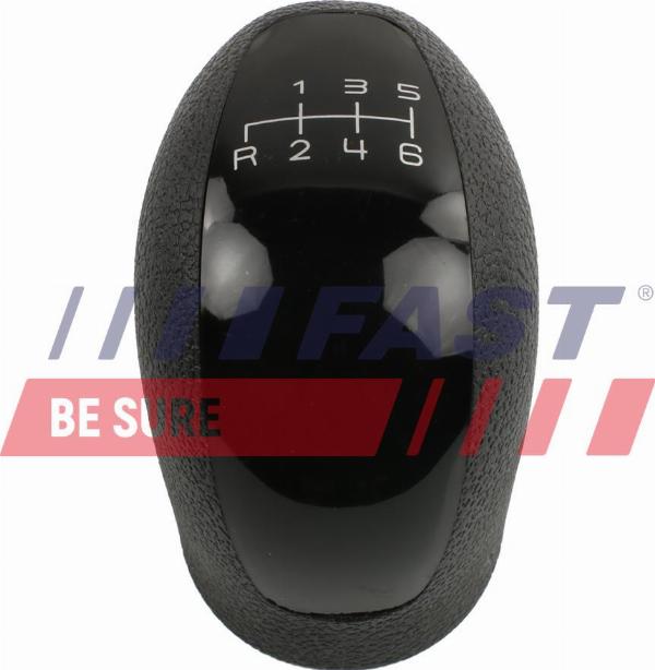 Fast FT73228 - PĀRSLĒDZĒJSVIRAS ROKTURI FT73228