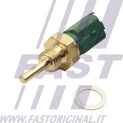 Fast FT80153
