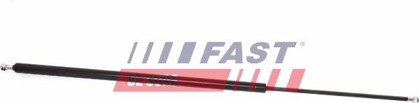 Fast FT94837 - BAGĀŽ.VĀKA AMORTIZATORS