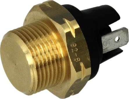 FEBI Bilstein 06031 - Termoslēdzis, Radiatora