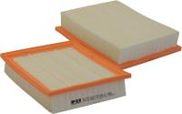 Filtron AP063 - Gaisa filtrs