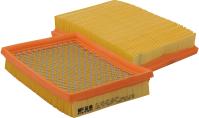Filtron AP071/1 - Gaisa filtrs