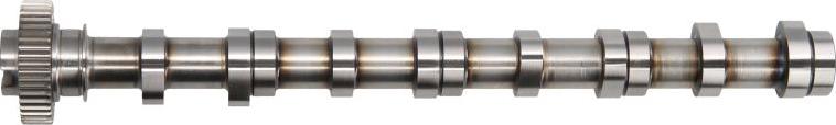 Freccia CM05-2195 - SADALES VĀRPSTA C347