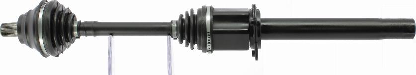 GSP 203355 - 304766 PUSASS L
