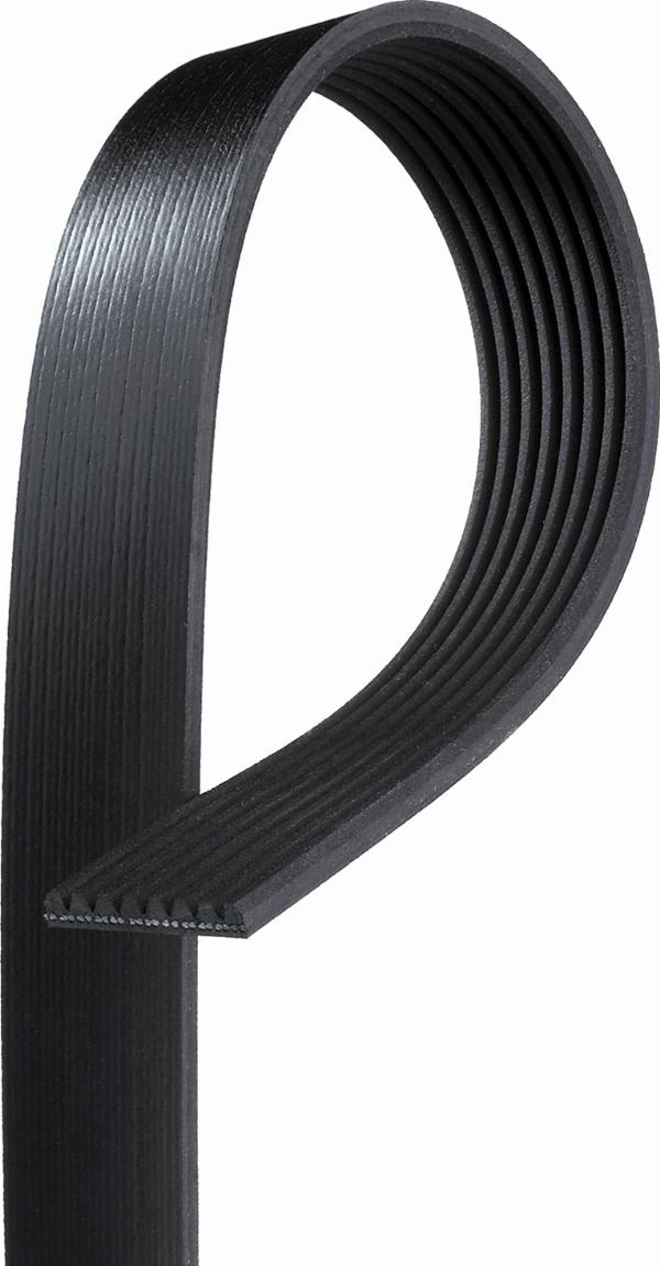 GATES 8PK2020HD