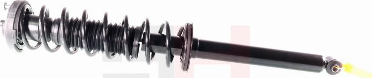 GH GH-333971C01 - Amortizatora statne