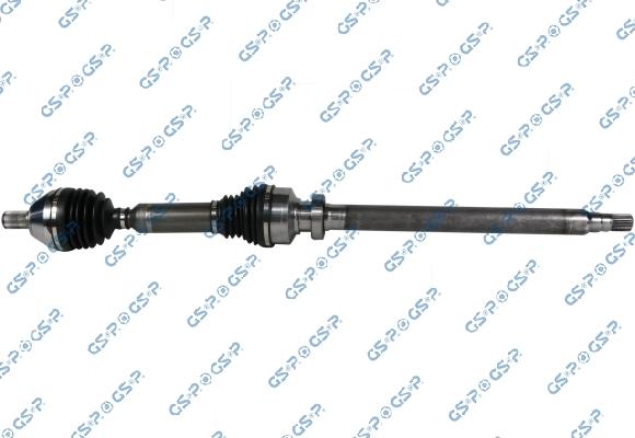 GSP 204519 - VKJC 6555 PUSASS