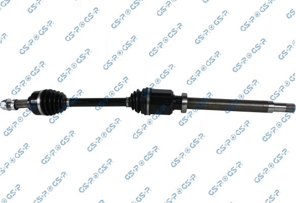 GSP 218335OL - 306553 PUSASS L