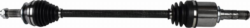 GSP 256013