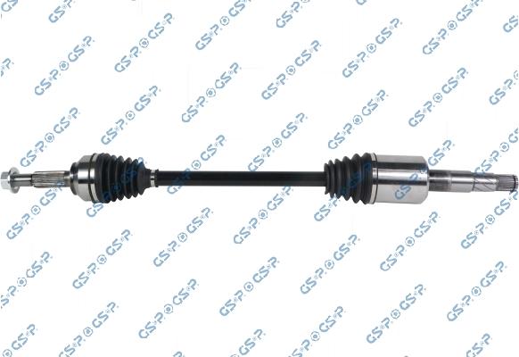 GSP 256389 - 256389 PUSASS L