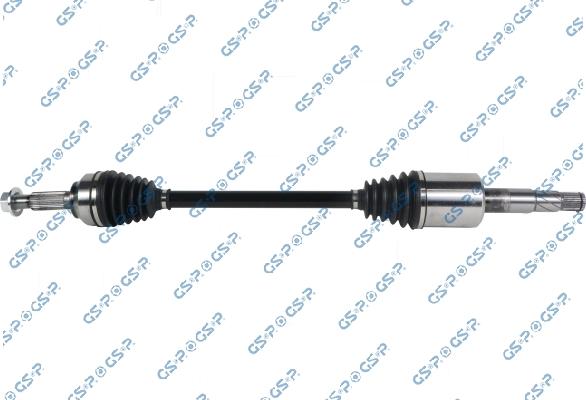 GSP 256392 - 256392 PUSASS L