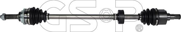 GSP 257176