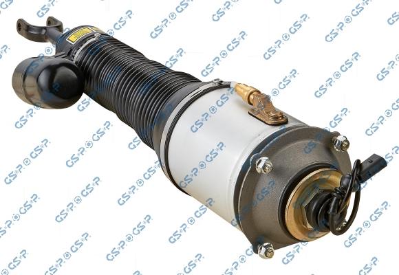GSP 30900672 - Pneimoatsperes statnis