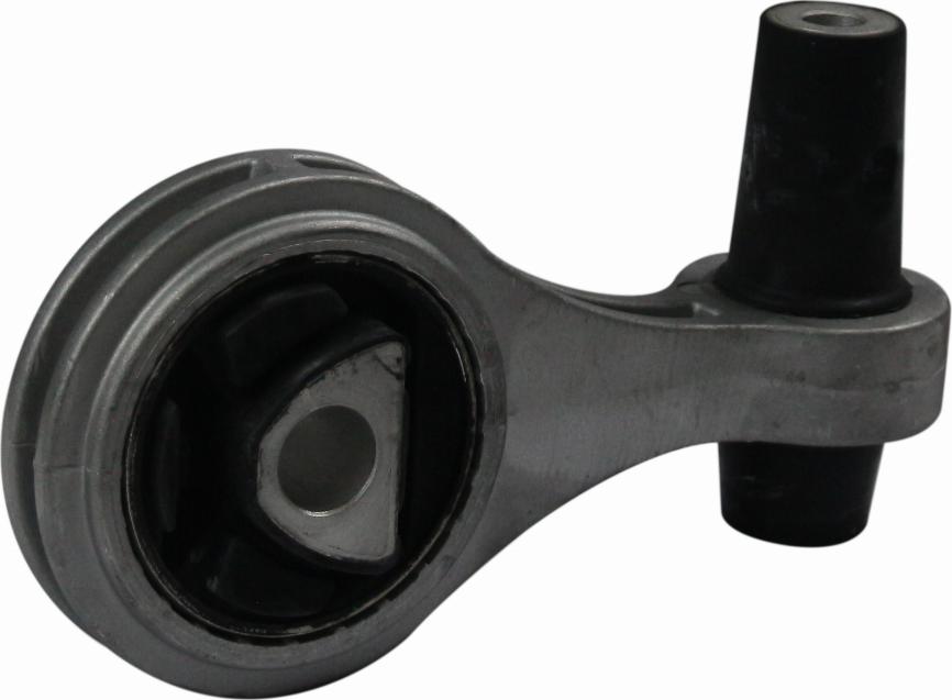 GSP 531555
