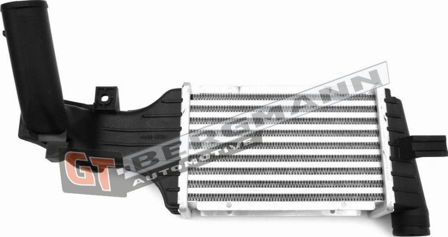 GT-BERGMANN GT12-025