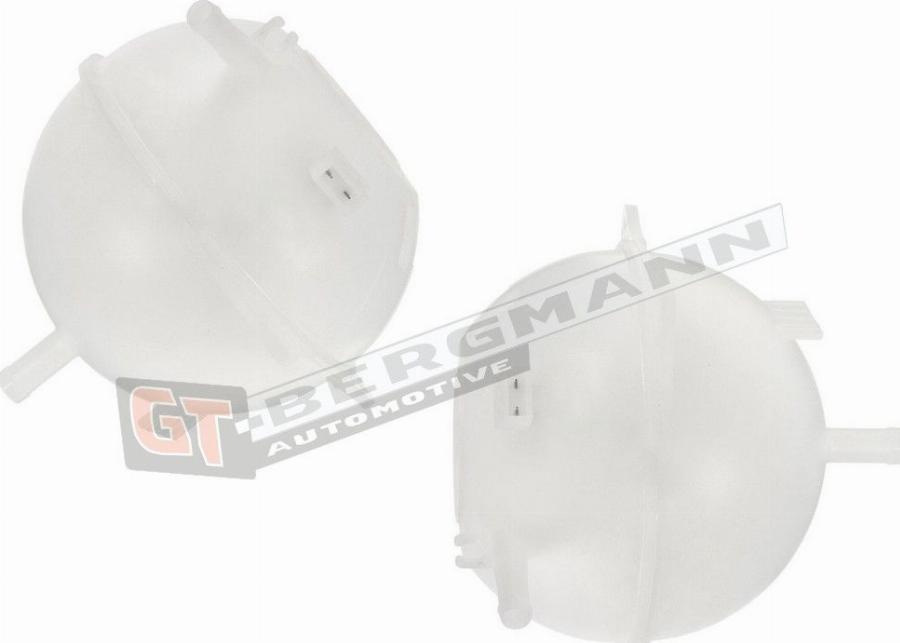 GT-BERGMANN GT15-018