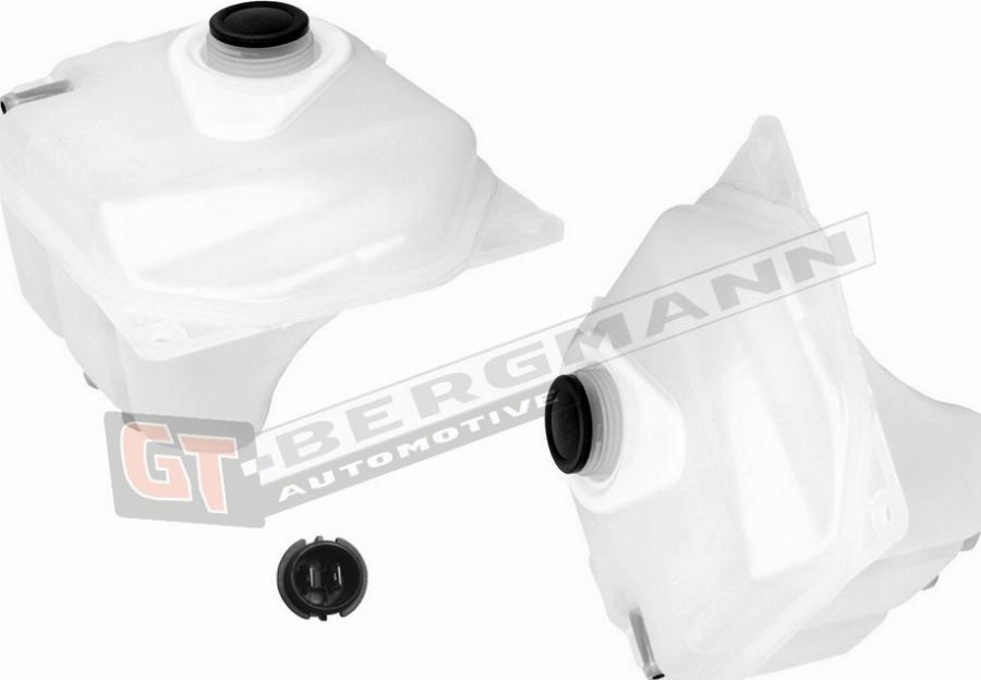 GT-BERGMANN GT15-020