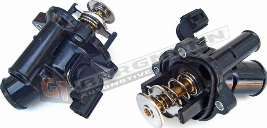 GT-BERGMANN GT17-006