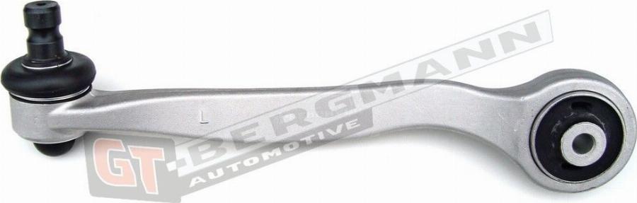 GT-BERGMANN GT20-026