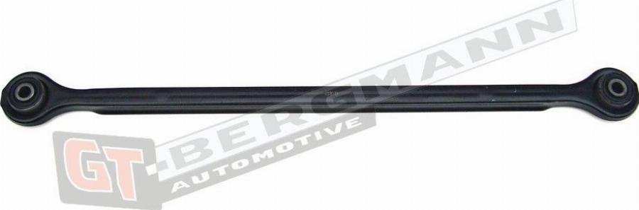 GT-BERGMANN GT20-124