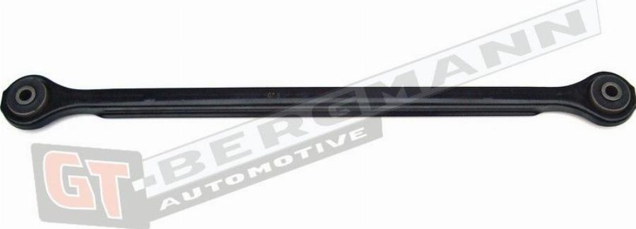 GT-BERGMANN GT20-125