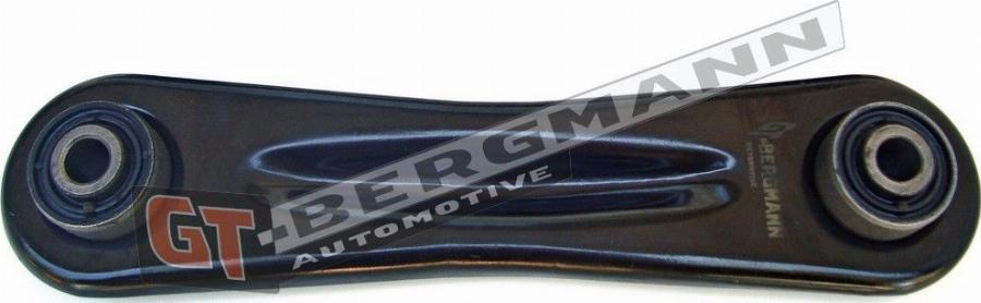 GT-BERGMANN GT20-131