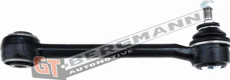 GT-BERGMANN GT20-176