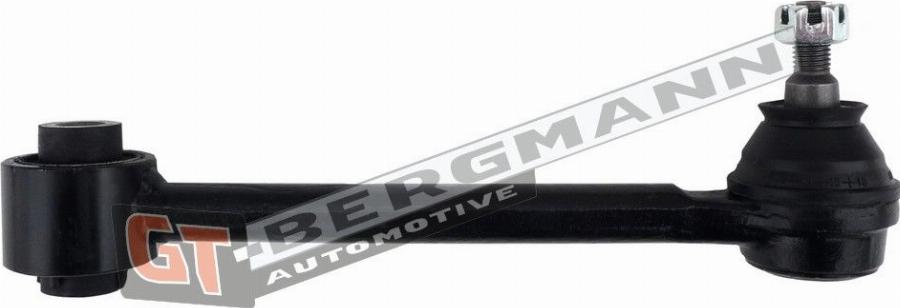 GT-BERGMANN GT20-205