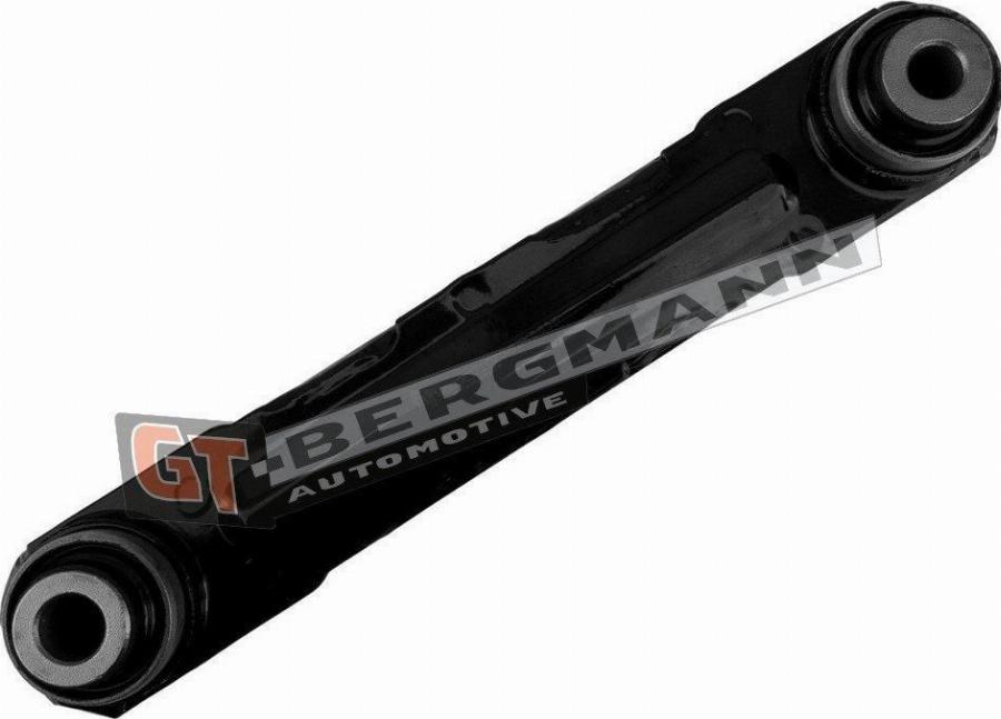 GT-BERGMANN GT20-231