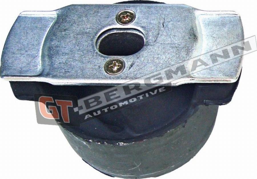 GT-BERGMANN GT22-001