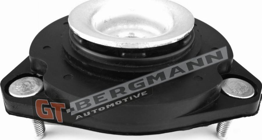 GT-BERGMANN GT25-008